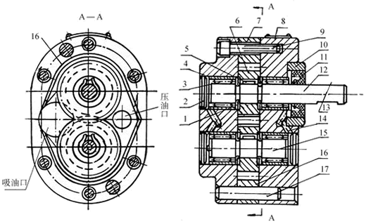 齿轮泵结构图